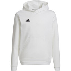 Adidas Kinderen/kinderen entrada 22 hoodie