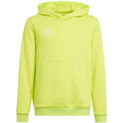 Adidas Kinderen/kinderen entrada 22 hoodie