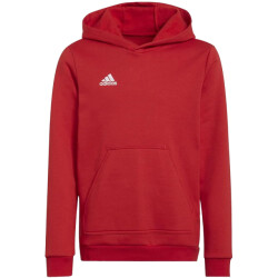 Adidas Kinderen/kinderen entrada 22 hoodie