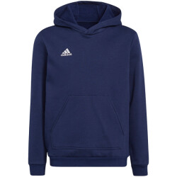 Adidas Kinderen/kinderen entrada 22 hoodie