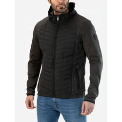 Falcon Stedman black-olive stedman b044