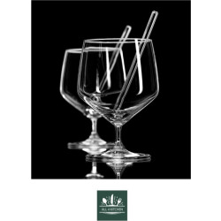 Ritzenhoff & Breker Set/2 ginglas 65 cl m/rietjes in gb soda