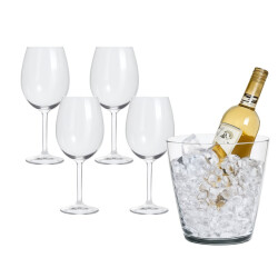 Casa di Elturo Luxe kristallen wijnset set van 5 inclusief wijnkoeler
