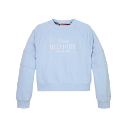 Tommy Hilfiger Sweat kg0kg08452