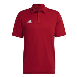 Adidas Heren entrada 22 poloshirt