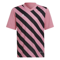 Adidas Kinder/kids entrada 22 grafische trui