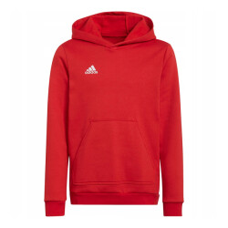 Adidas Kinderen/kinderen entrada 22 hoodie