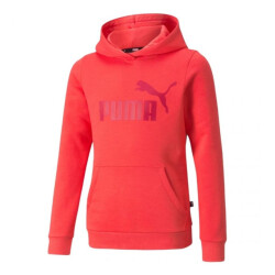 Puma Kinder/kids essential logo hoodie