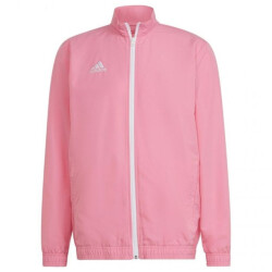 Adidas Heren entrada 22 presentatiejas