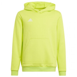 Adidas Kinderen/kinderen entrada 22 hoodie