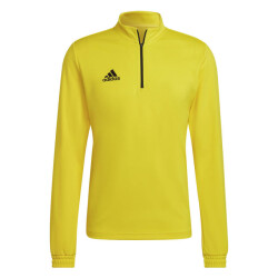 Adidas Heren entrada 22 trainings sweatshirt
