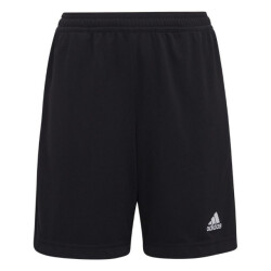 Adidas Kinderen/kinderen entrada 22 korte broek