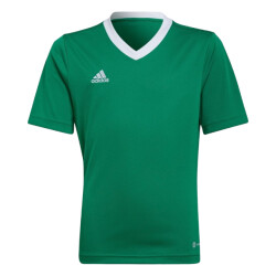 Adidas Kinderen/kinderen entrada 22 t-shirt