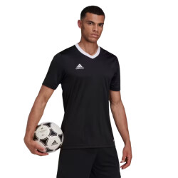 Adidas Heren entrada 22 t-shirt