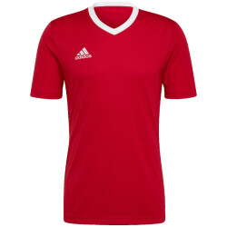 Adidas Heren entrada 22 t-shirt