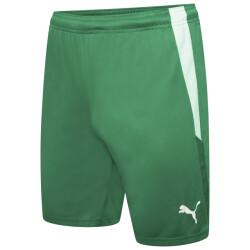 Puma Heren team liga korte broek