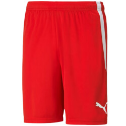 Puma Heren team liga korte broek