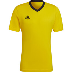 Adidas Kinderen/kinderen entrada 22 t-shirt