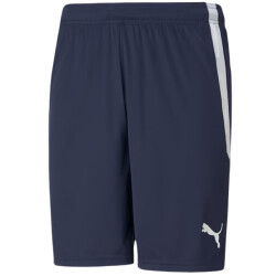 Puma Heren team liga korte broek