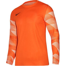 Nike Park iv dri-fit keeperstrui met lange mouwen voor kinderen/kinderen
