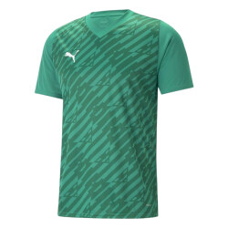 Puma Heren teamultimate trui