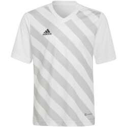 Adidas Kinder/kids entrada 22 grafische trui