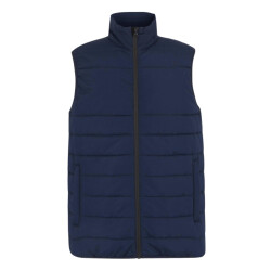 Regatta Thermische bodywarmer voor heren