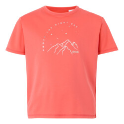 Regatta Kinderen/kinderen alvarado ix berg t-shirt