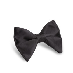 Circle of Gentlemen Butterfly-5-large