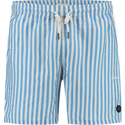 Dstrezzed Ds case stripe swimshorts