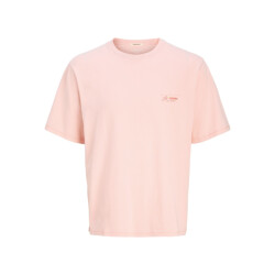 Jack & Jones joralmeria world tee ss crew neck 12276785 tickled