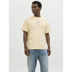 Jack & Jones Jprbladestination ss tee