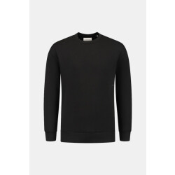 Pure Path Loose fit sweaters crewneck ls