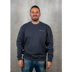 Tommy Hilfiger Reg linear crew ext