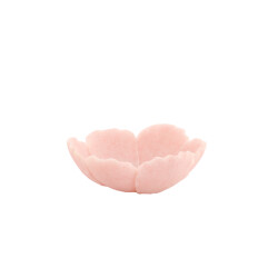 Light & Living schaal fresia 25.5x24x9.5cm -