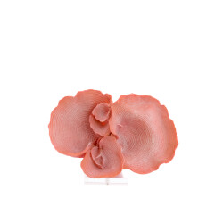 Light & Living ornament coral 33x14x23.5cm -