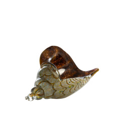 Light & Living ornament shell 28x12x16cm -