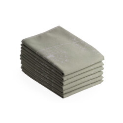 DoubleDry Luxe theedoeken set 6 stuks 50x70 cm 100% katoen hoge