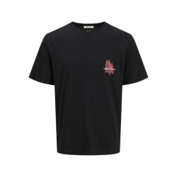 Jack & Jones jorcanggu illu tee ss crew neck 12277228 -