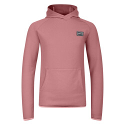 Dare2b Kinderen/kinderen traverse hoodie