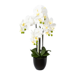 Kopu ® kunstbloem orchidee 69 cm met zwarte pot phalenopsis