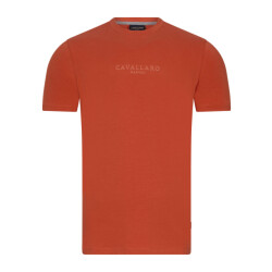 Cavallaro Bari t-shirts 117251000
