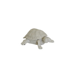 House Vitamin Turtle box polyresin sand 15.5x13.5x7.5cm
