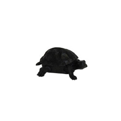 House Vitamin Turtle box polyresin black 15.5x13.5x7.5cm
