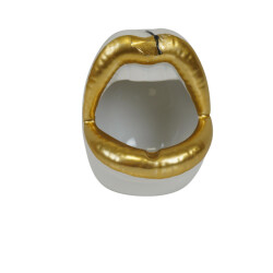 House Vitamin Pot ornament lip ceramics gold/white -10x10x12cm