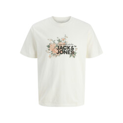 Jack & Jones Jorjuka tee ss crew neck stydss25