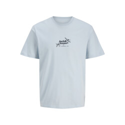 Jack & Jones Jorjuka tee ss crew neck stydss25