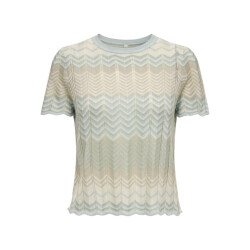 Only Onlalvira life ss glitter o-neck kn dessin