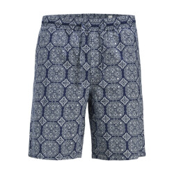 Jack & Jones Jpstjaiden seersucker aop short srt dessin