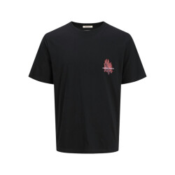 Jack & Jones Jorcanggu illu tee ss crew neck -